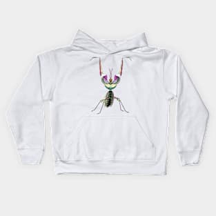 Praying Mantis Digital Painting Kids Hoodie